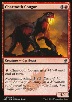 Chartooth Cougar